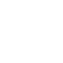 Democratische Volkalliantie